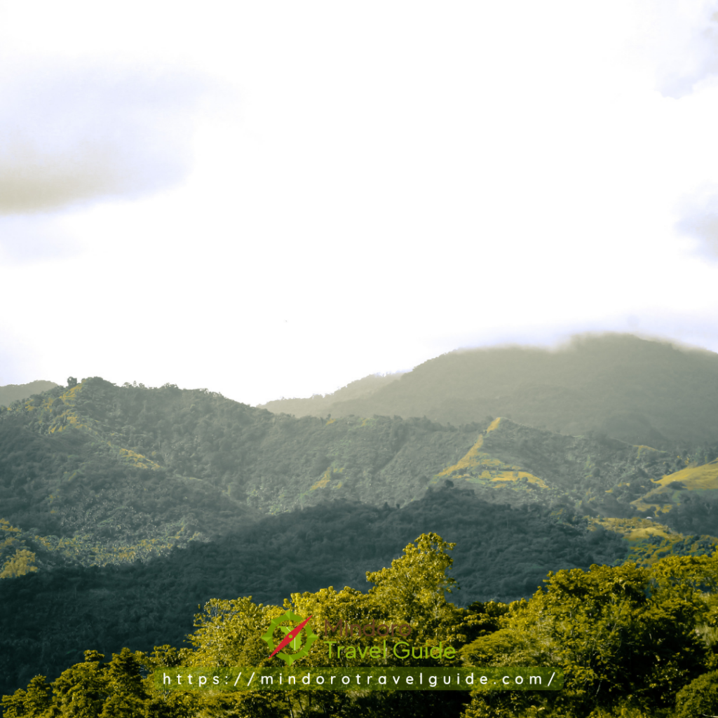 Mapang River Nature S Escape In Bongabong Oriental Mindoro Mindoro   20240110 095340 0000 1024x1024 